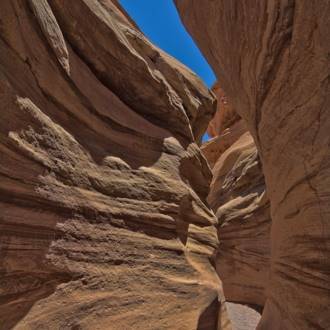 The Tigers Trap, at Timna Park